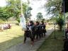 DSC00001 (213)